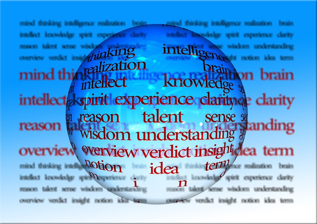 记忆比赛,挑战大脑极限的竞技盛宴,展现记忆与智慧的较量