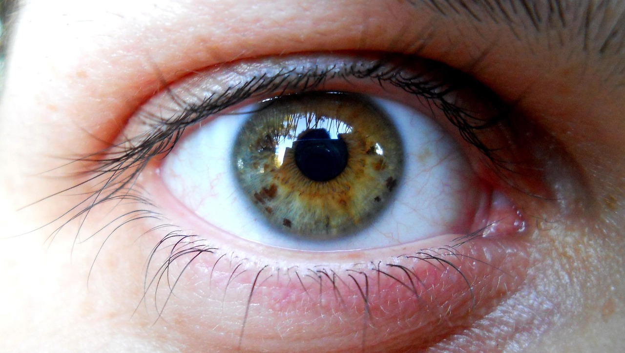 揭秘商业巨头不为人知的背后故事,神秘总裁最新动态曝光