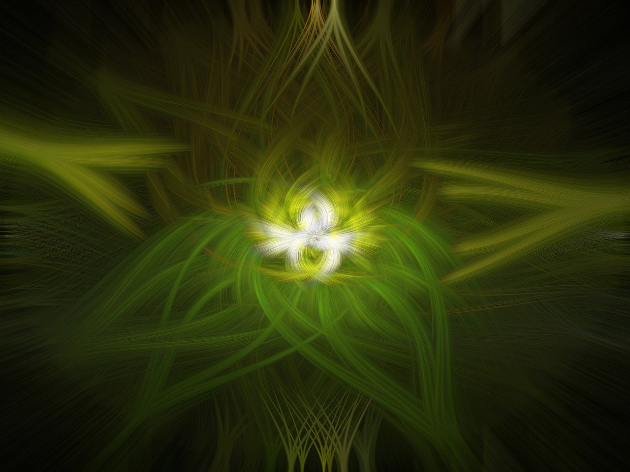 美国最新大选动态，历史角逐与未来展望