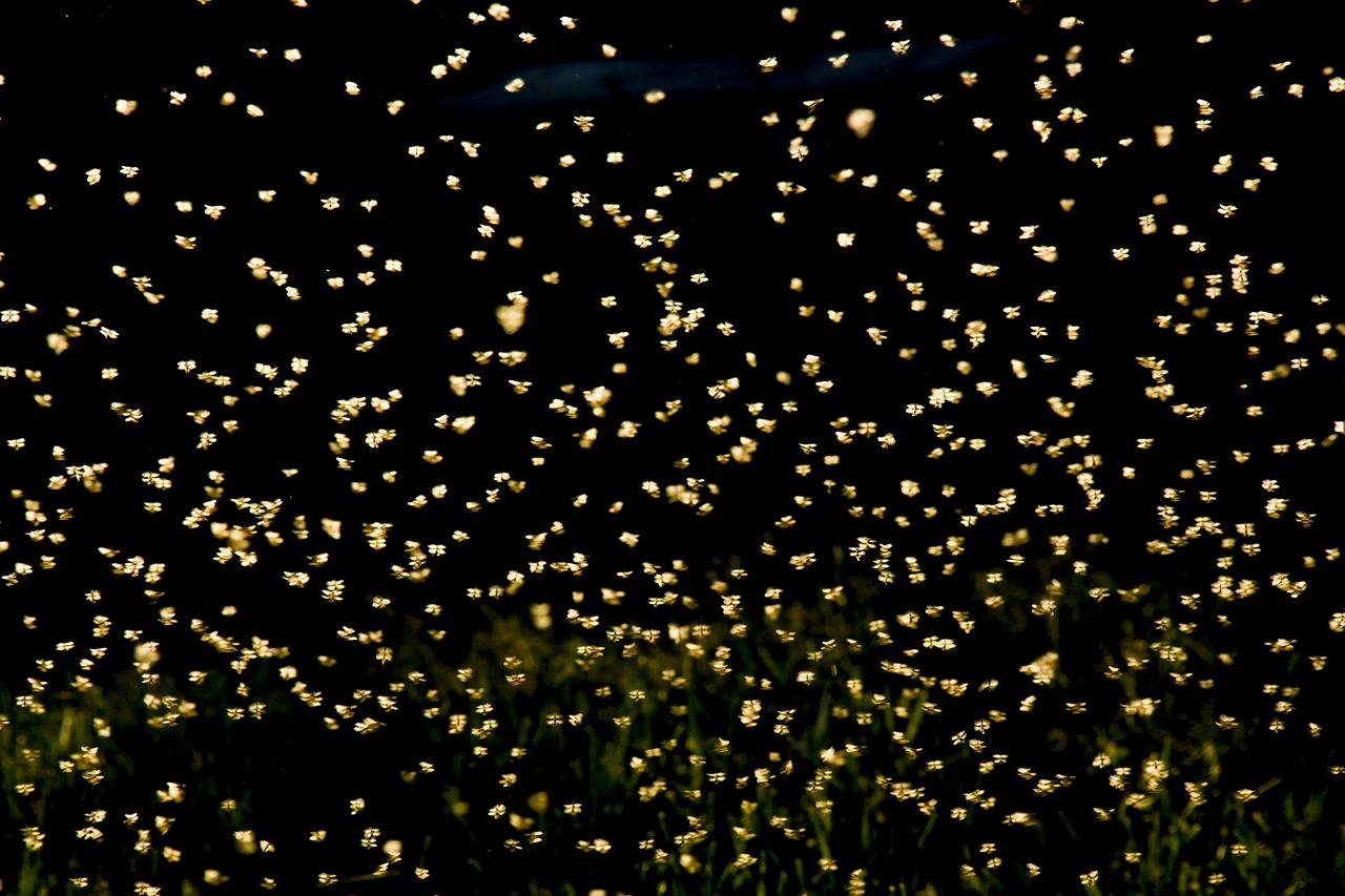 最新技术电视机,革新潮流引领未来展望