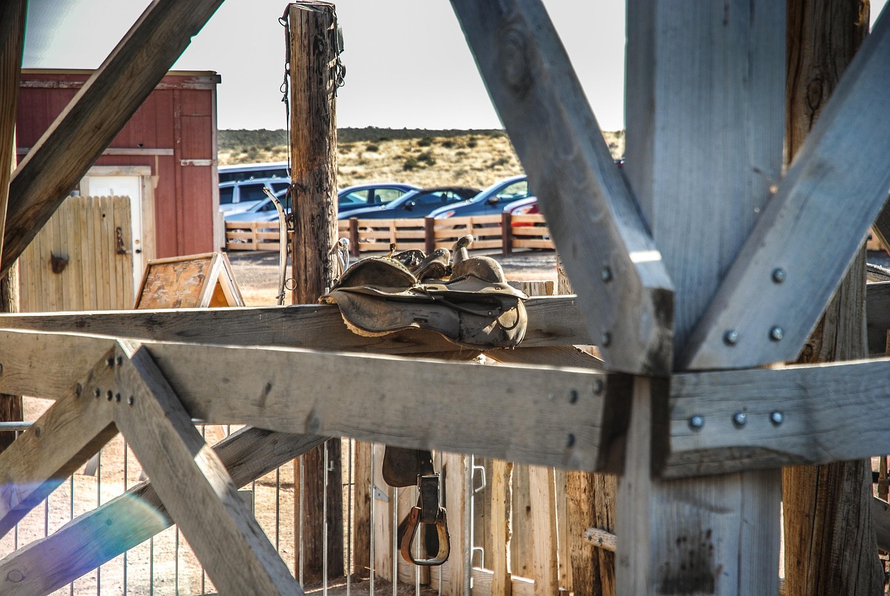 昆明文化繁荣脉搏,最新动态资讯一网打尽
