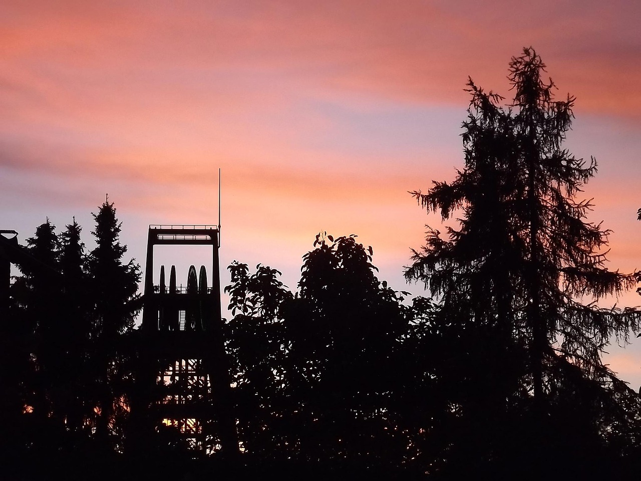 中国新闻最新聚焦,时事热点与发展动态解读