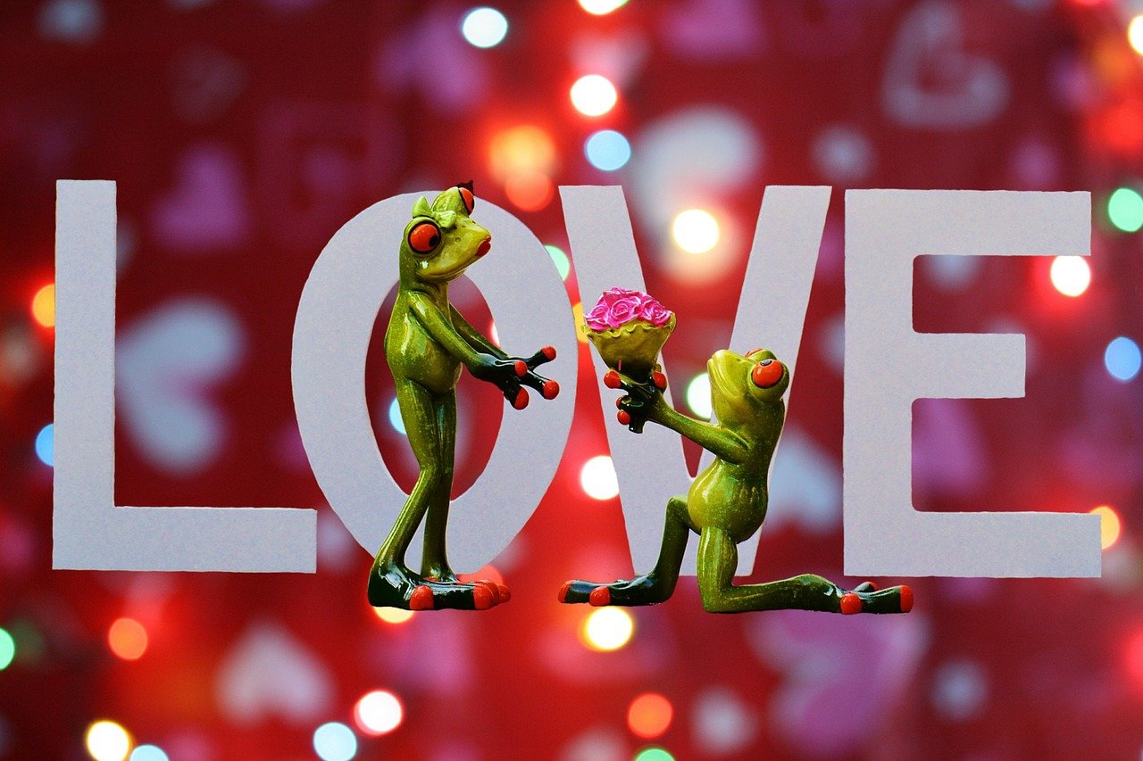 最新法官宣誓词，正义的天平永恒闪耀的光辉誓言