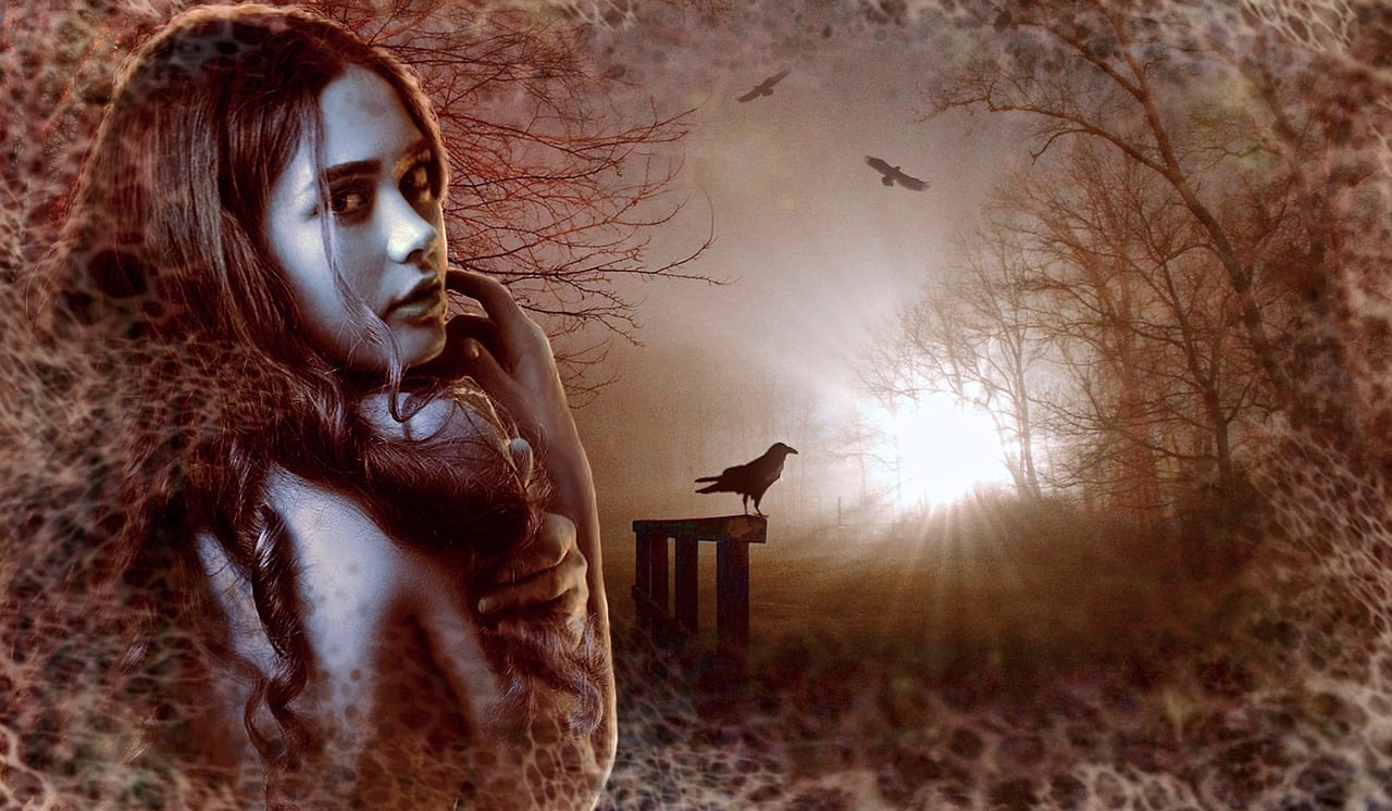 女神修仙传最新章节，神秘修仙之旅探寻