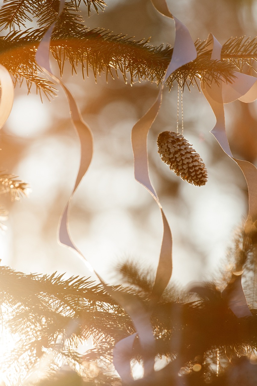 新芝麻上市季节,时间与季节的轮回