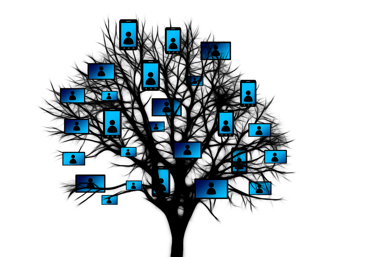 浙江平湖新埭最新房价信息更新今日动态