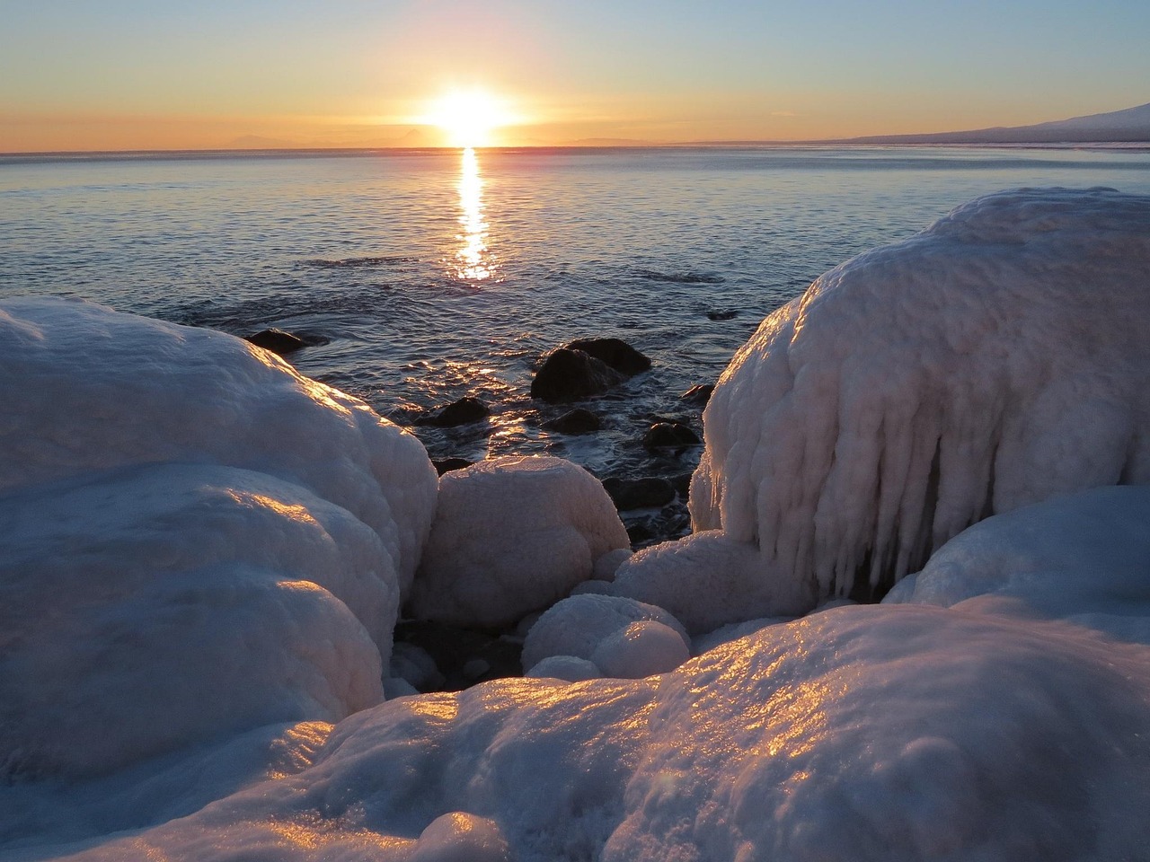 巴南海洋公园最新资讯，今日焦点报道