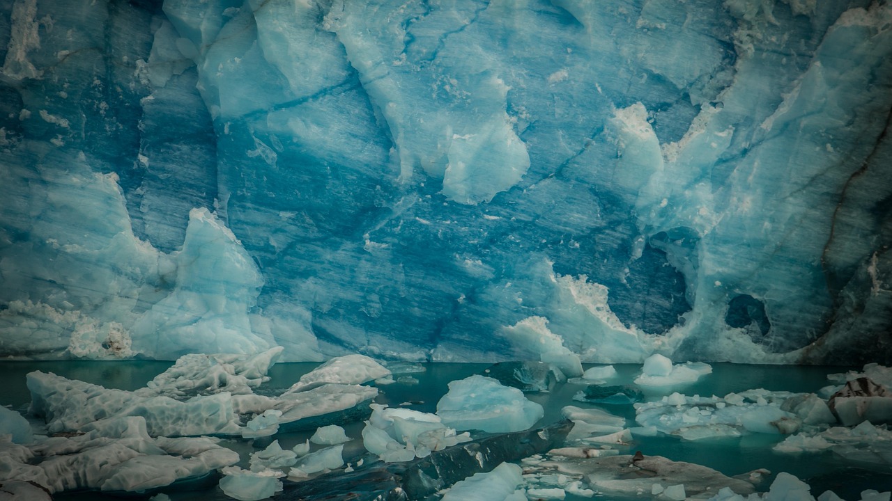 今日新希望最新动态2017年,坚定迈向未来的步伐