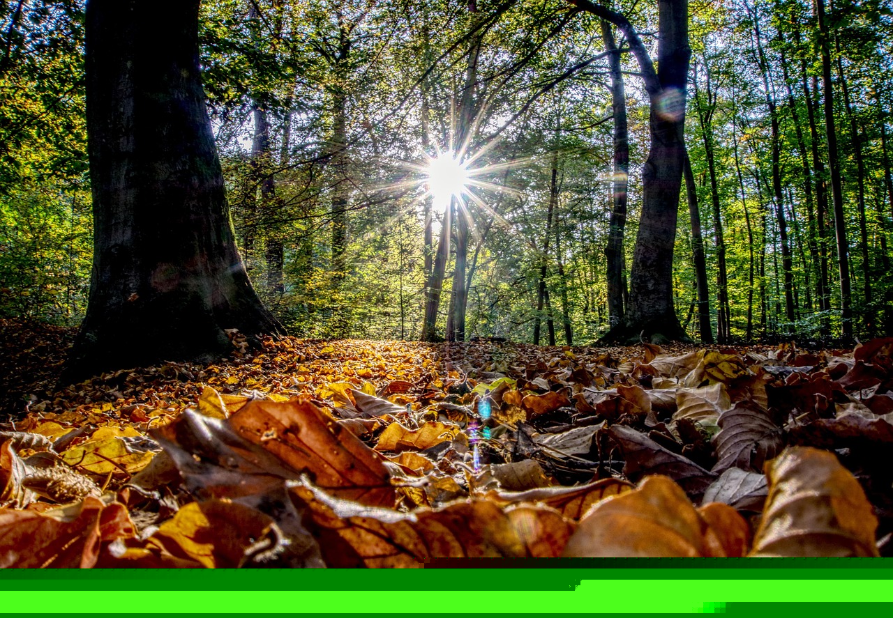 新疆疫情最新动态更新