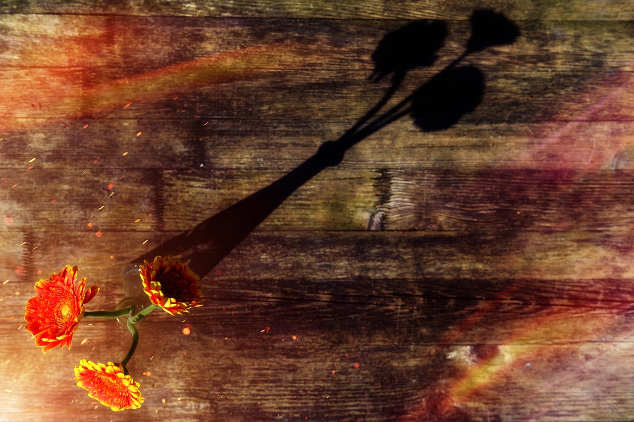 余岳桐新作，今日艺术探索与明日期待展望