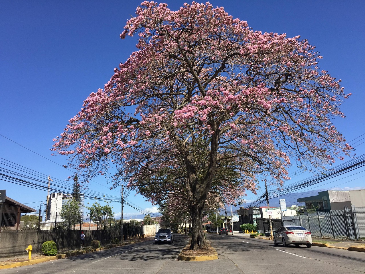 天然舞台最新季,自然之美的璀璨绽放