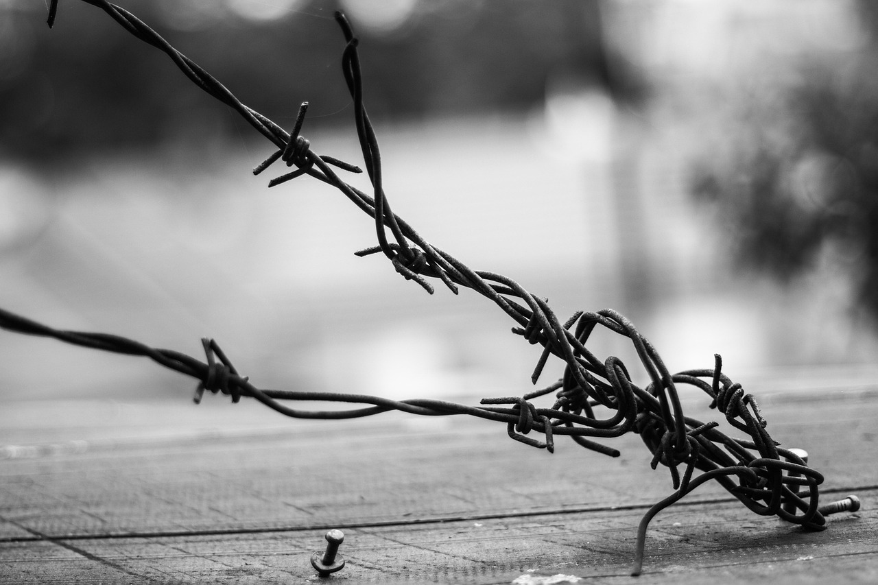 今日欧美SM电影，探索艺术边界的视听奇旅