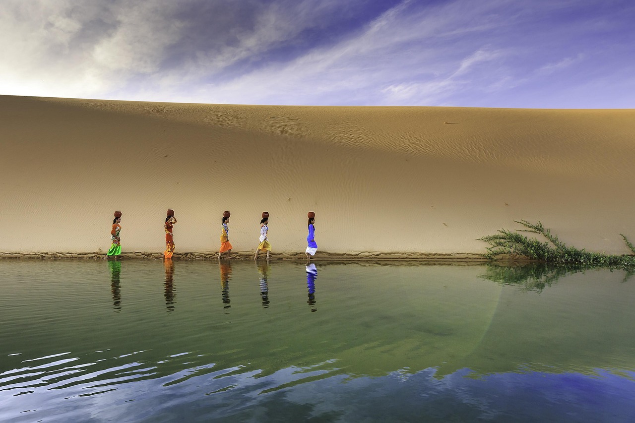 少数民族明星，文化融合中的闪耀光芒与影响力