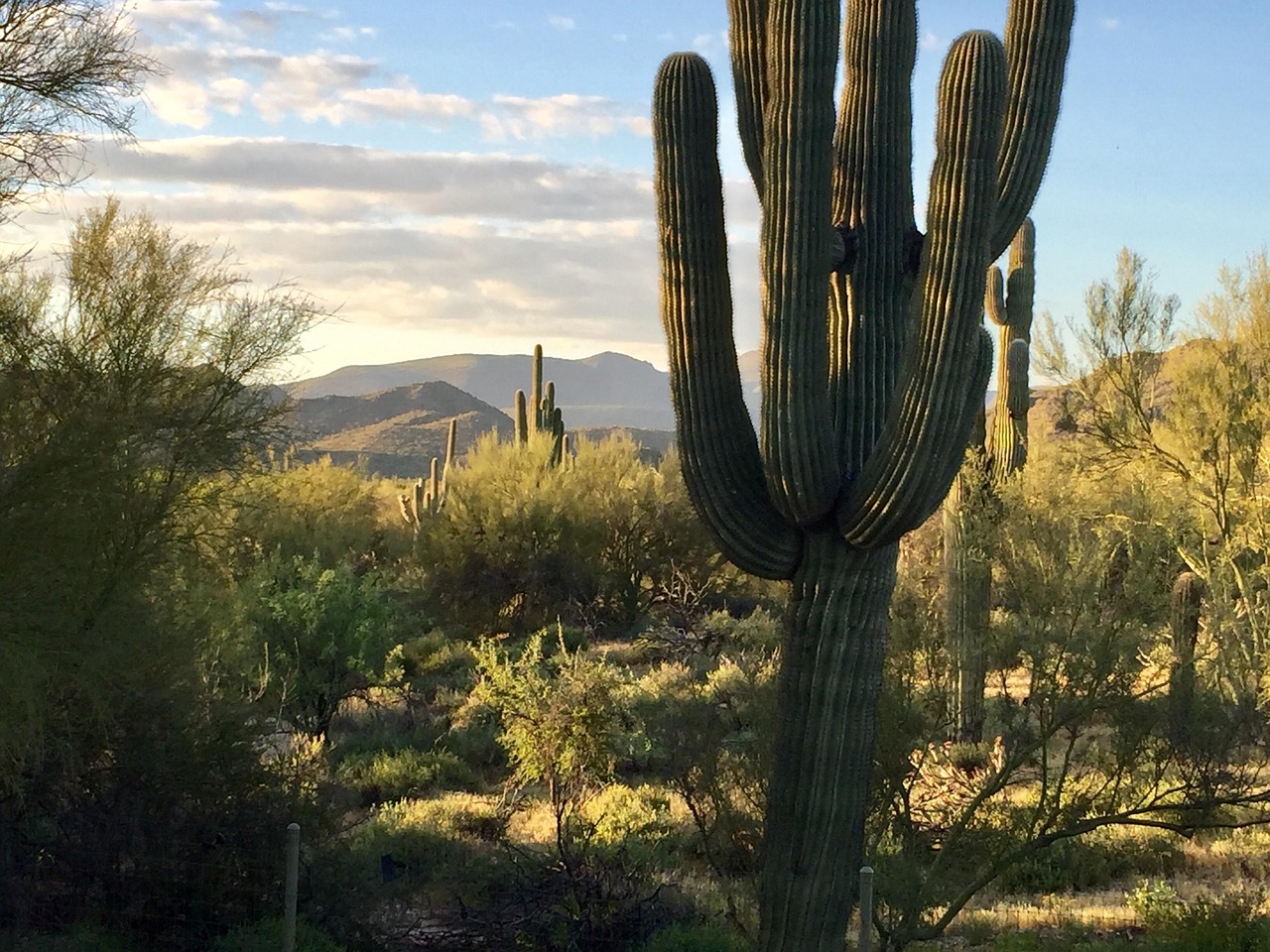 今日宇宙新动态揭秘,探索奥秘与前沿科技进展