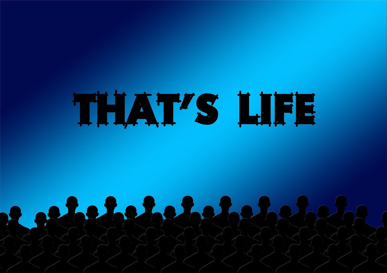 今日热门电影速递,最新电影文章与影评热议