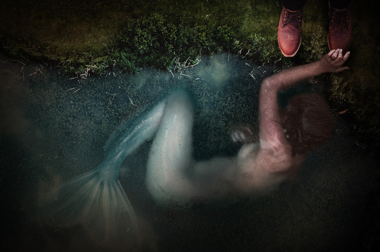 杭州女子神秘失踪事件最新进展，今日关注焦点