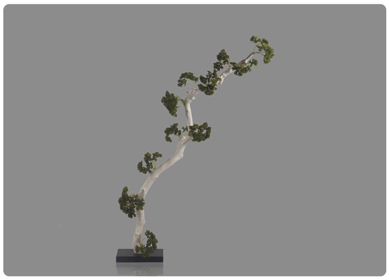 今日最新感人心弦作品欣赏