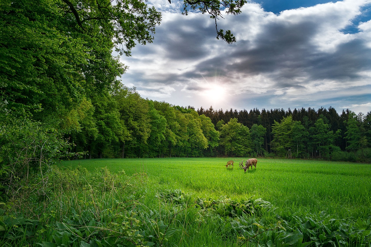 西安至大荔最新动态深度解析报告