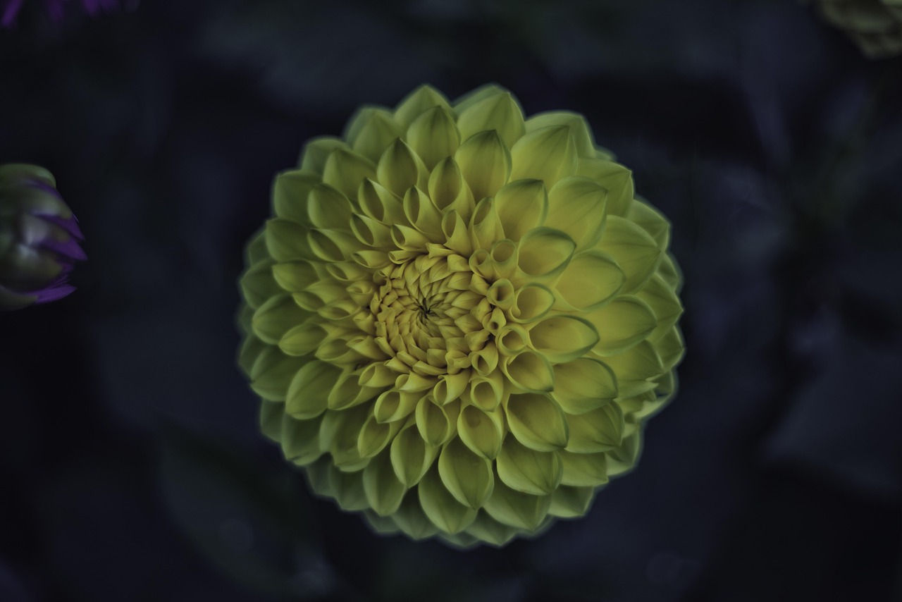 4月白河滩水电站最新动态报告，了解最新进展与动态