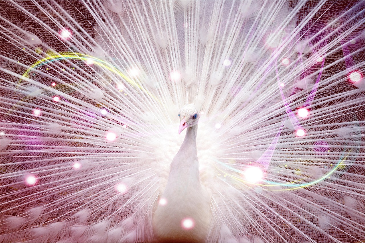 探索四月份Linux最新内核更新与未来展望,最新内核揭秘及展望