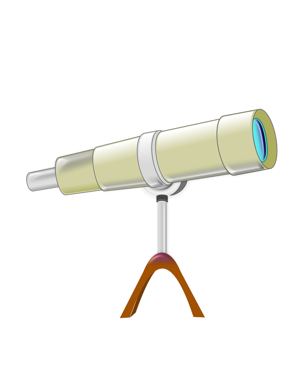 四月猪瘟动态解析与应对策略，全面观察与行动指南