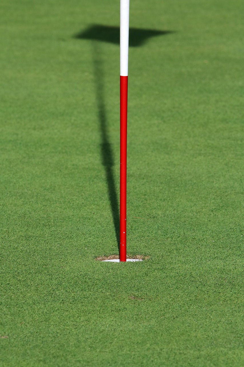 林书豪四月赛场风采闪耀比赛现场