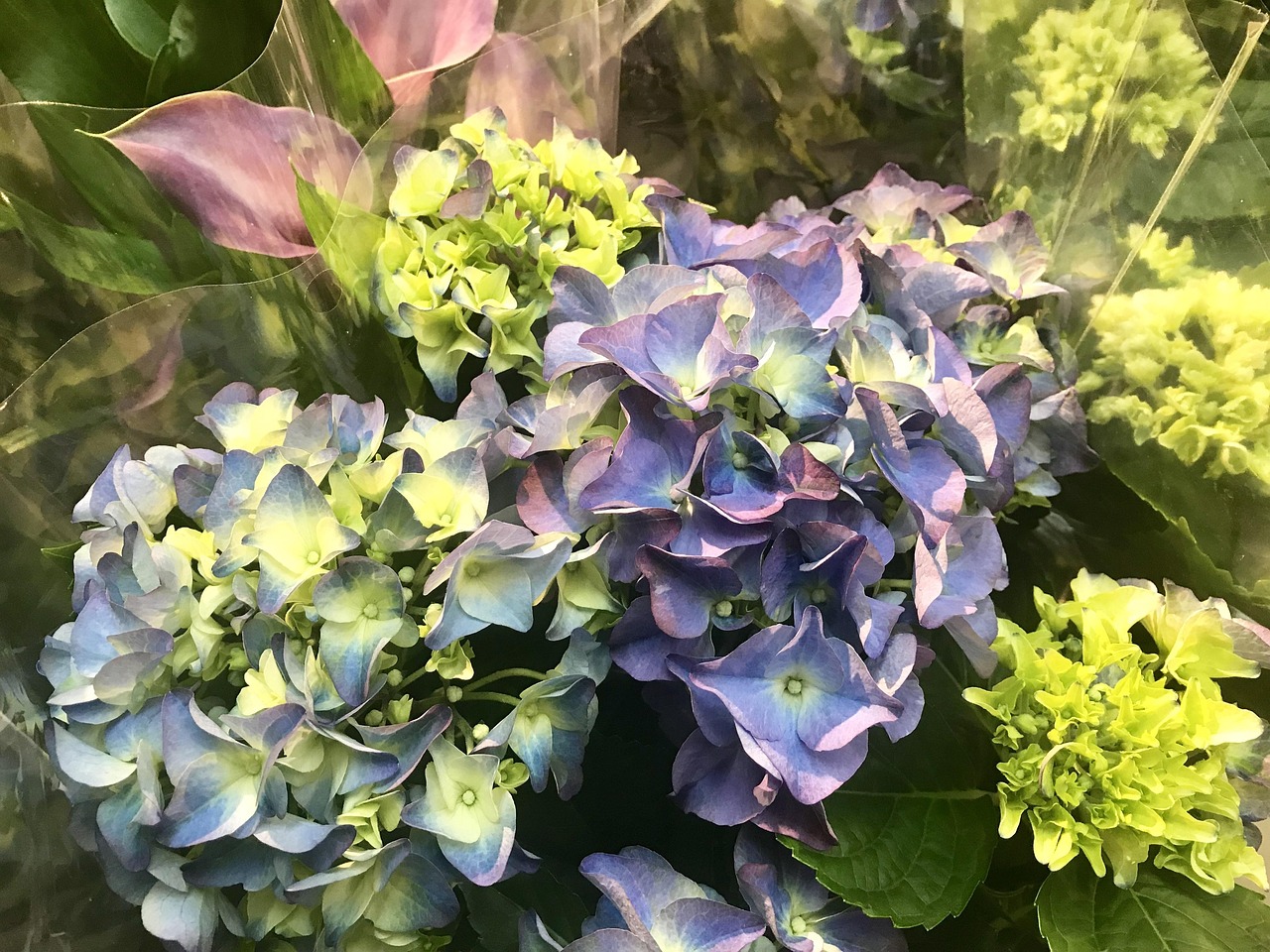 四月绽放的艺术之星,演员周红