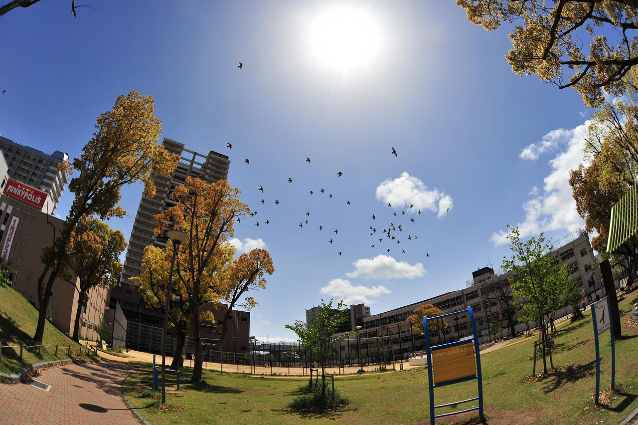 揭秘四月黄金票最新动态，黄金投资的最佳时机来临？