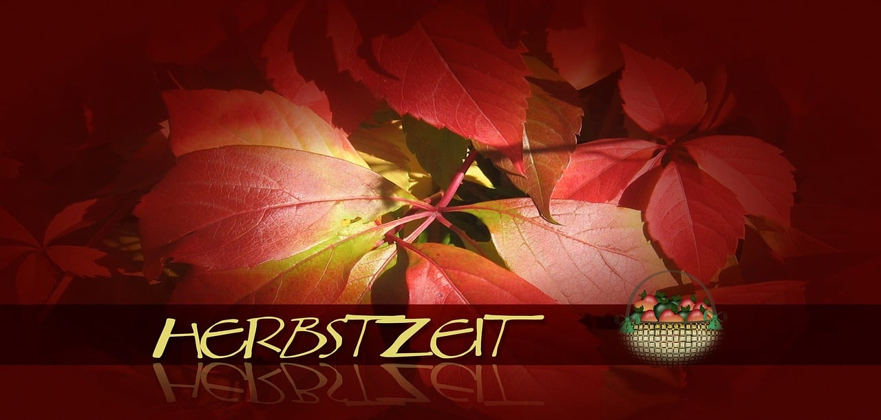 四月,生命绽放与诗意流淌的季节