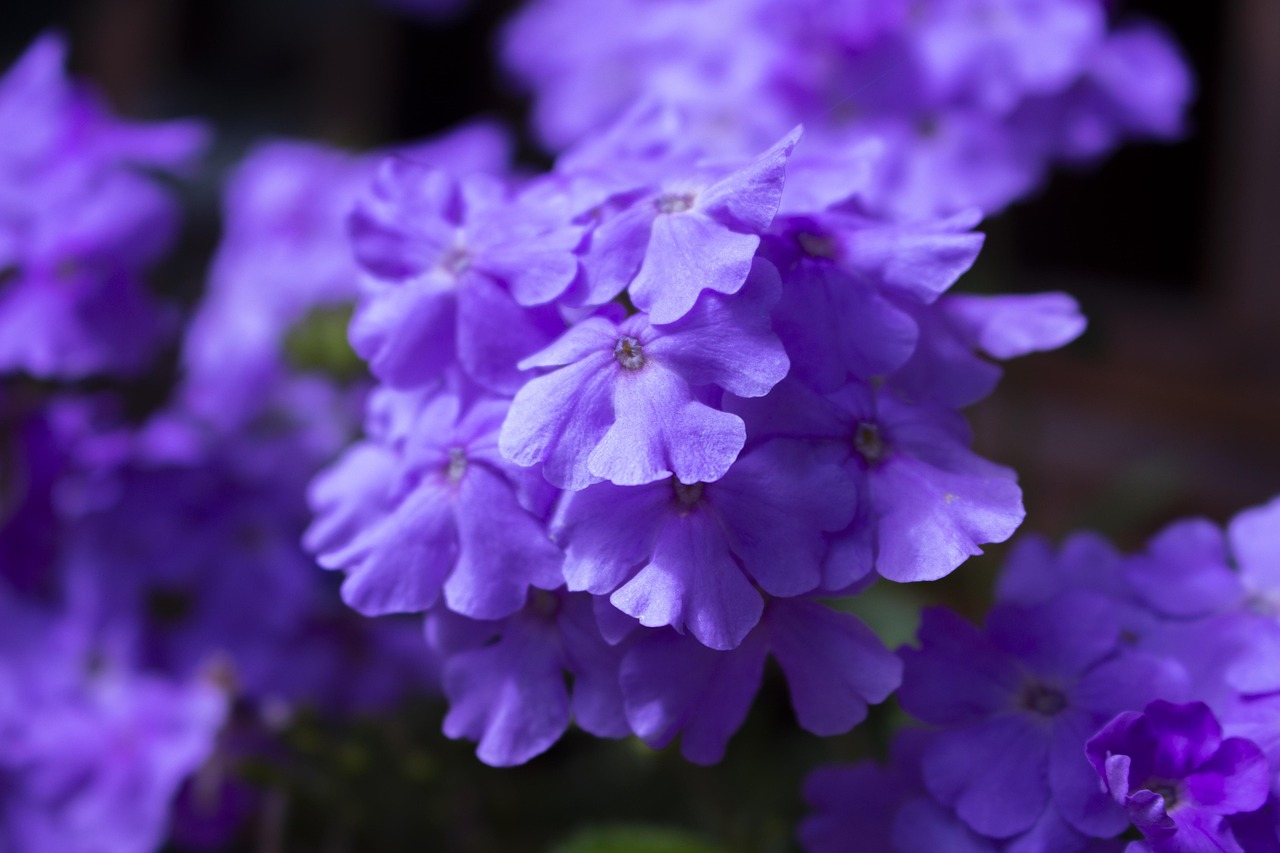 揭秘四月份钢材市场风云,实时价格动态与未来展望