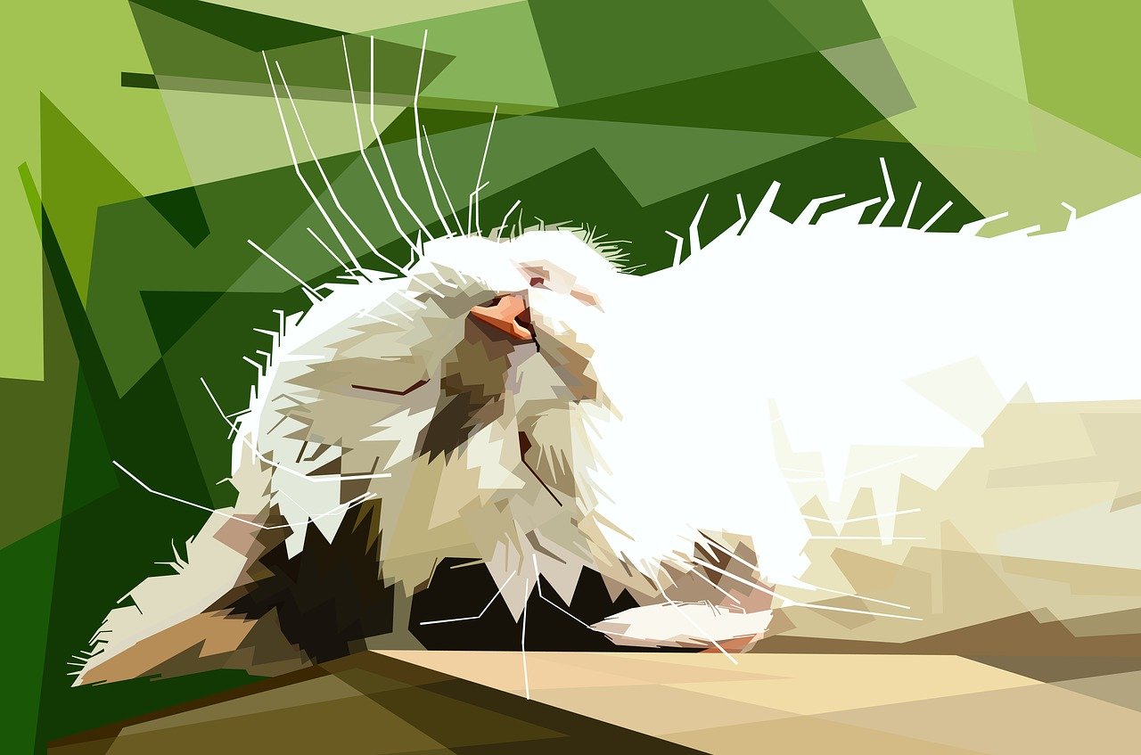 揭秘四月鱼头最新动态,展现潮流独特魅力,引领时尚新风尚