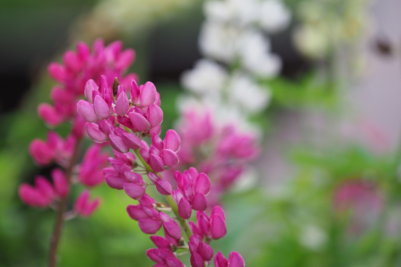 四月份露天煤业股票最新动态关注焦点，市场动态与行业消息更新