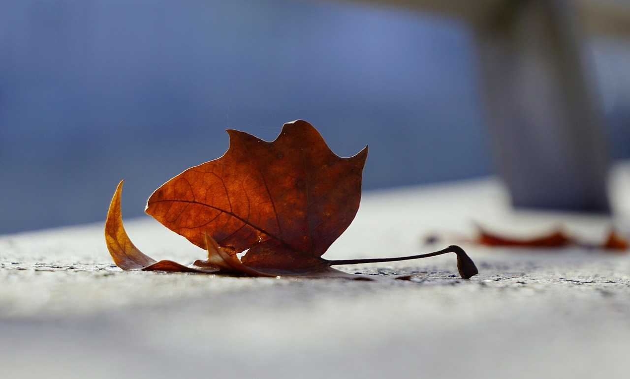 2025年5月 第303页