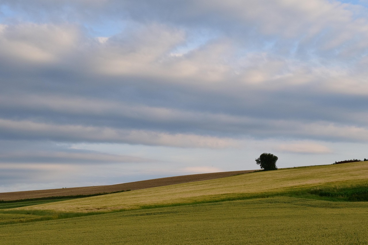 五月飞行家电影,探索天空与人生的交织之旅
