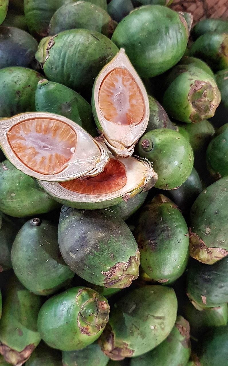 五月最新网上冷冻食品诈骗揭秘，手法与应对策略全解析