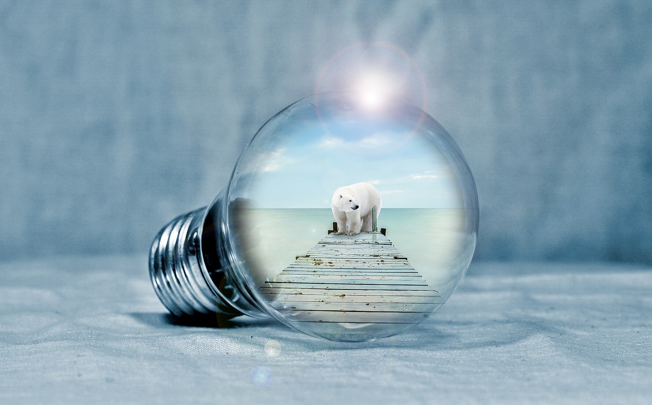 五月海洋之谜面霜价格揭秘，探索海洋奥秘的护肤之选