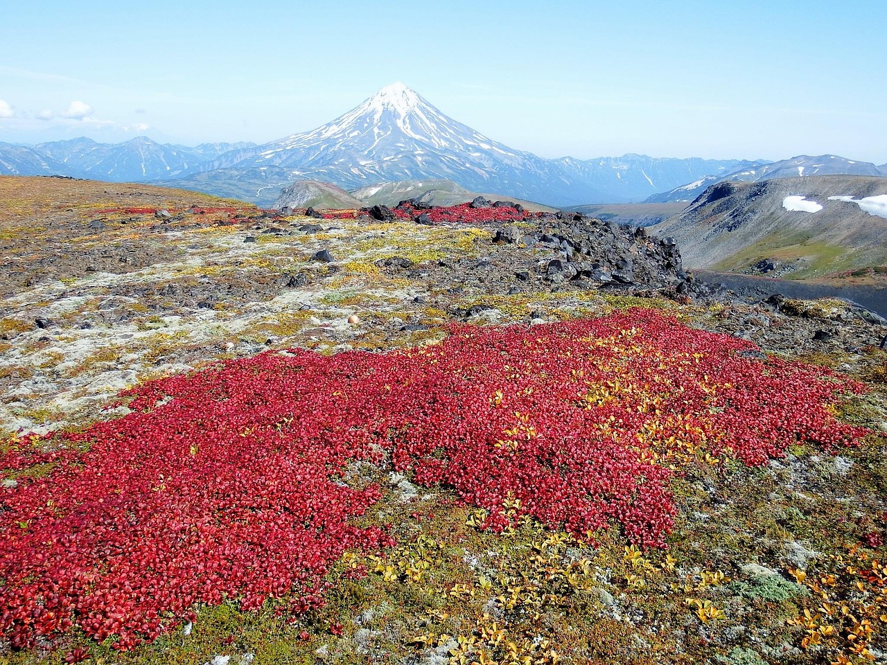 五月最新野外风景图集,自然之美的绽放瞬间
