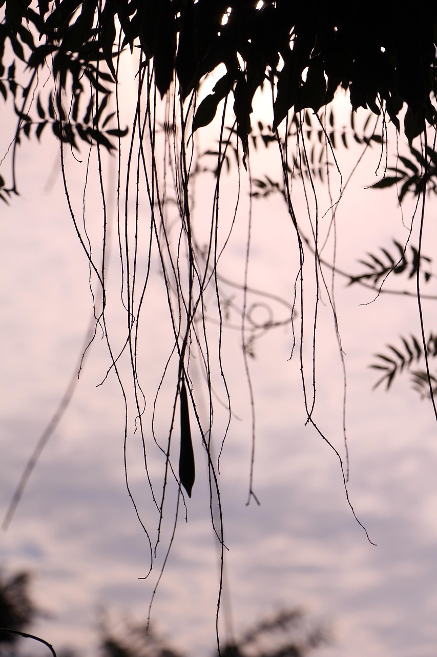 五月安仁在线资讯速递，科技、经济、社会与环境多维度发展动态