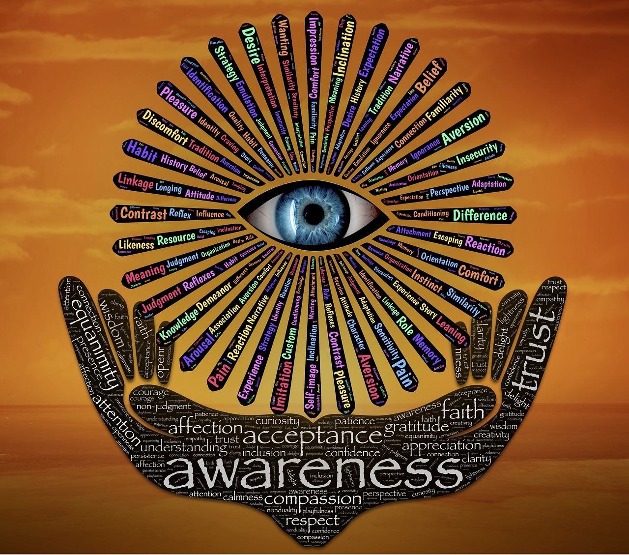 五月leemz2002最新探索,未知领域的启示与发现