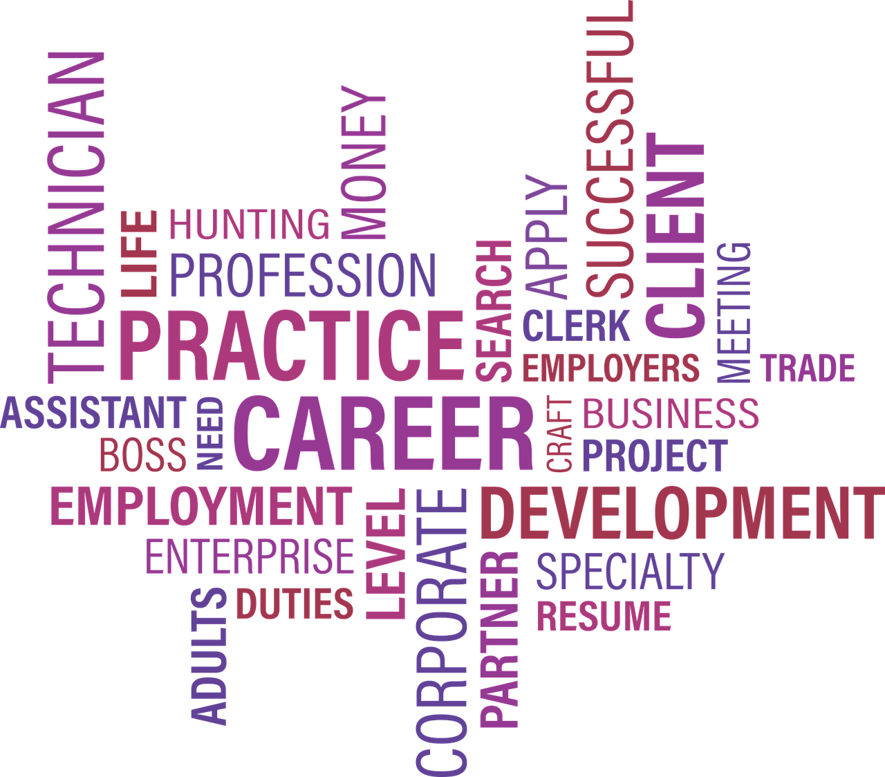 清城区五月最新招聘信息概览，探寻全新职业机遇