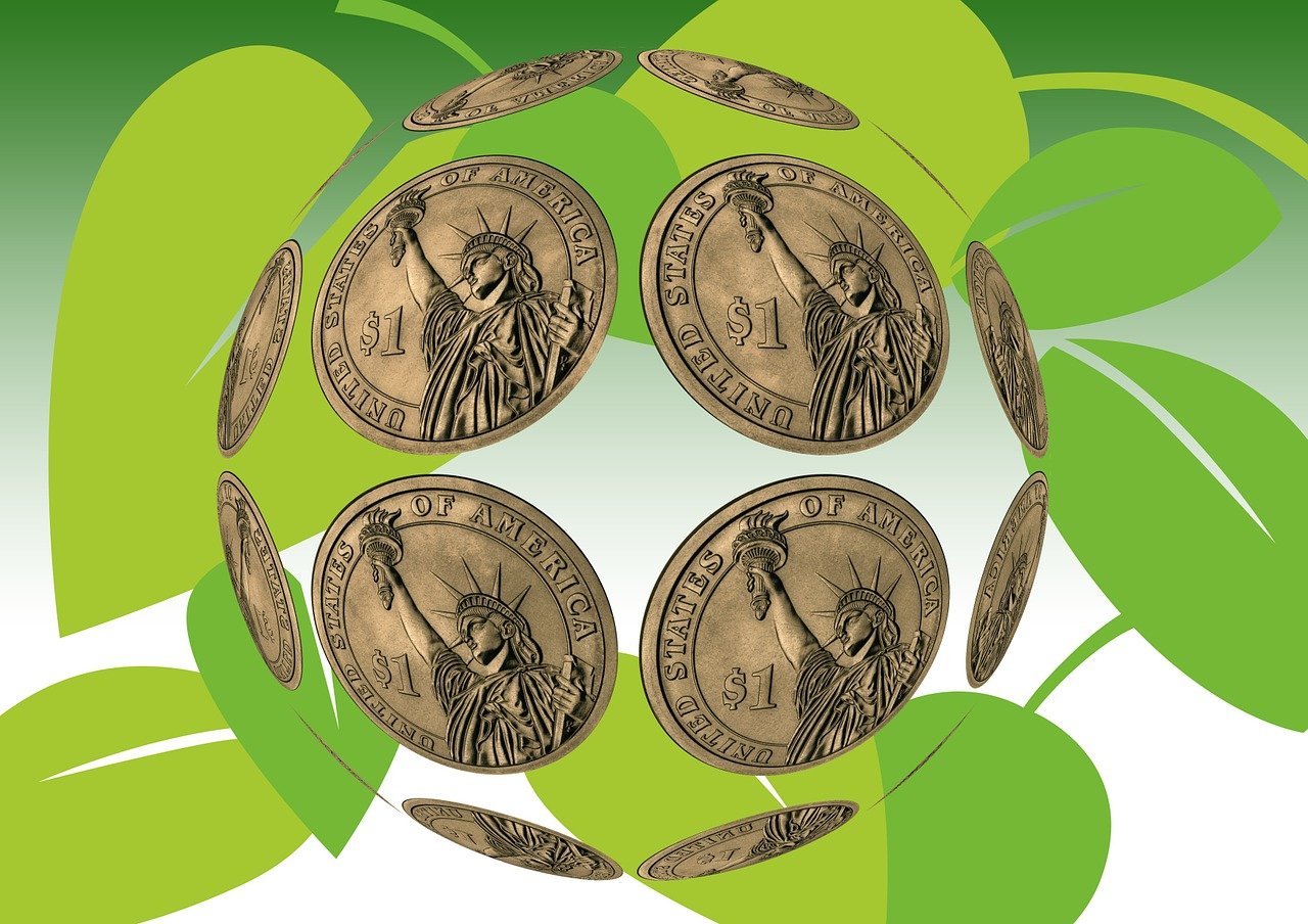 五月森林最新资讯,生态、科技与保护同步发展