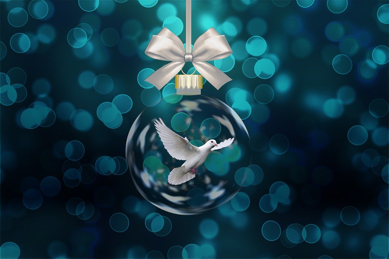 五月偶像明星，璀璨星光照亮青春舞台的璀璨之旅