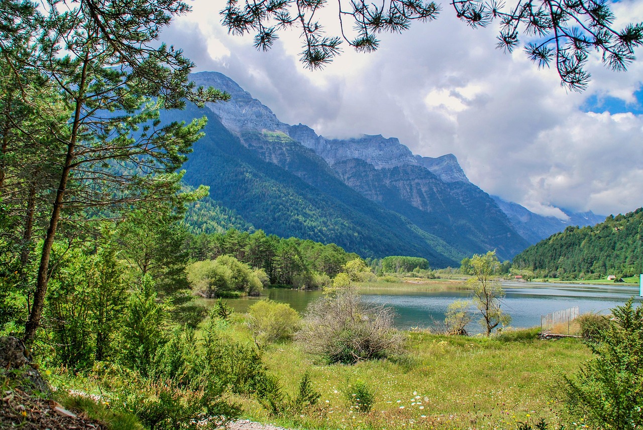 五月瑞安热点新闻聚焦，最新动态与热点事件回顾