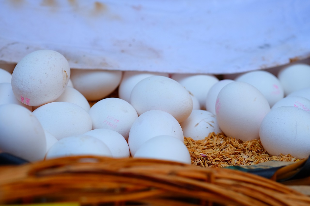 探索XRP在五月最新价格动态与前景展望