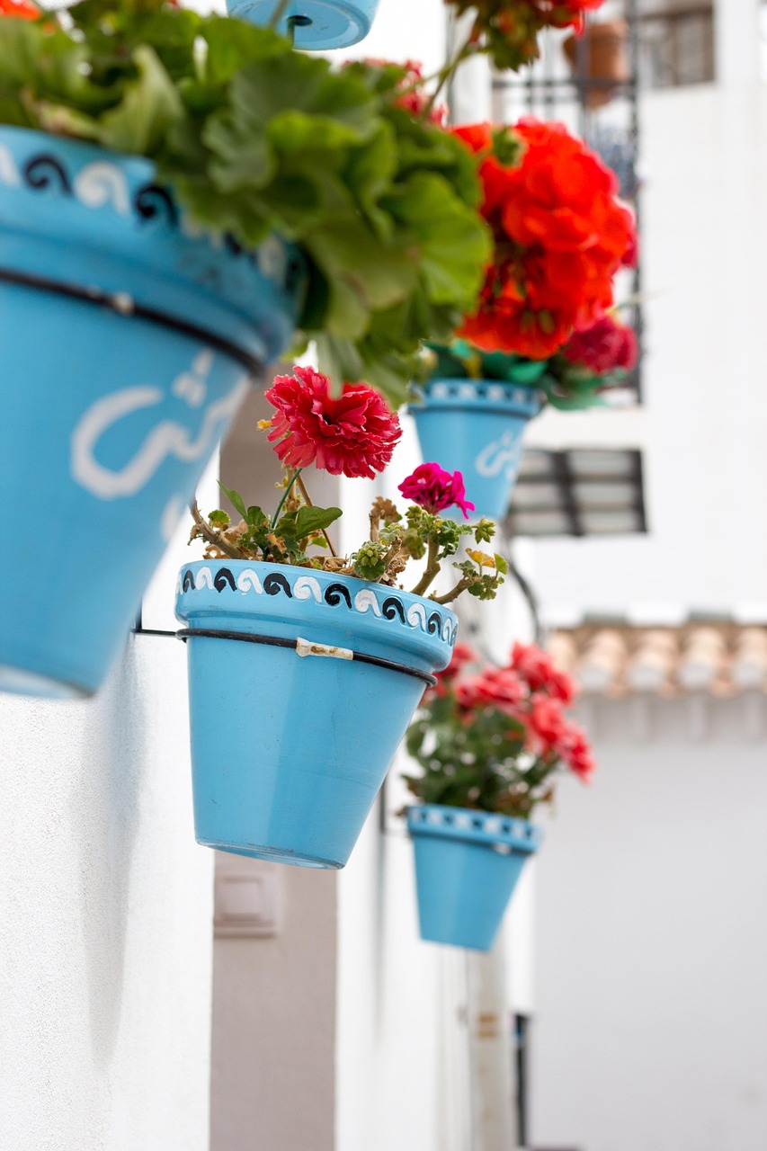 五月沣泾大道最新动态揭秘,城市发展的脉搏持续跳动