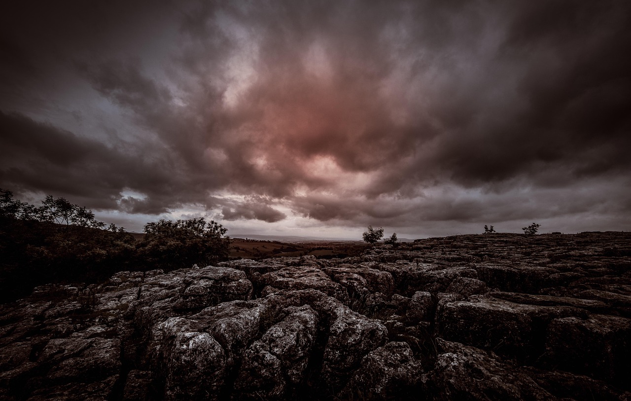 五月原始武器电影之旅，历史与艺术的交融探寻