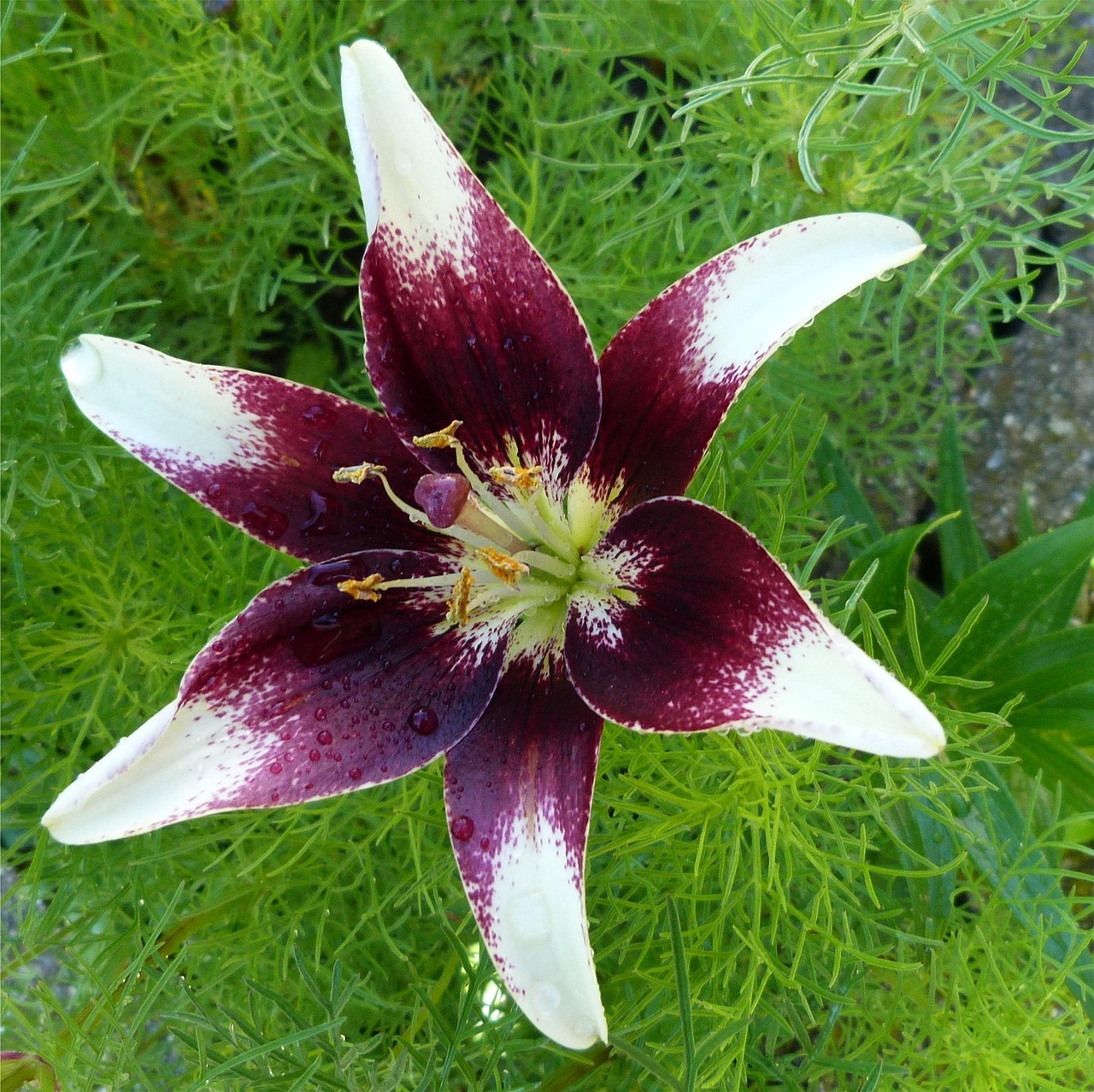 揭秘江西联盛五月最新动态，蓬勃发展，蓄势待发