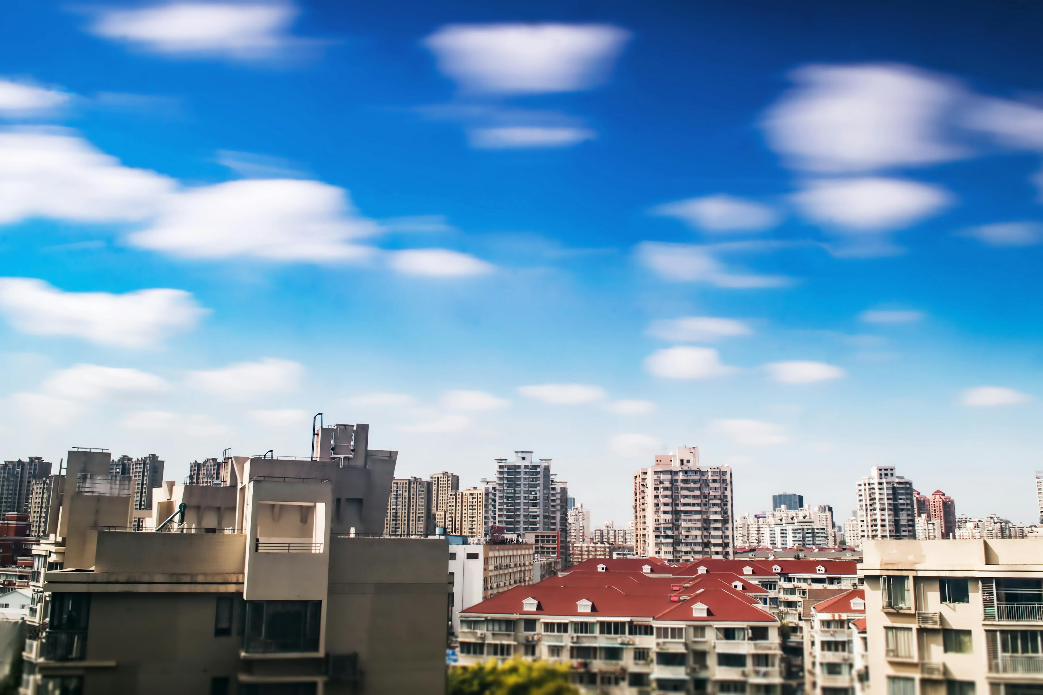 五月阳新最新新闻热点探寻