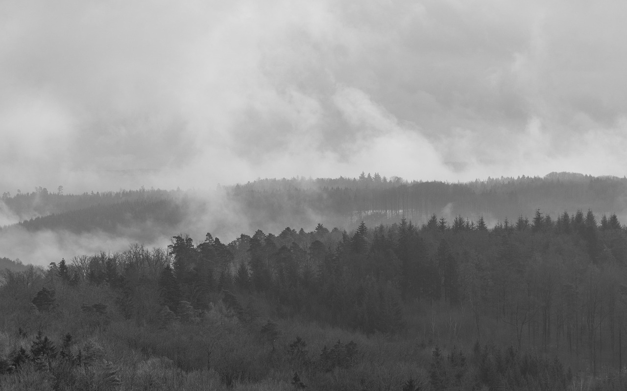 五月最新奇观，探寻自然之美与神秘力量