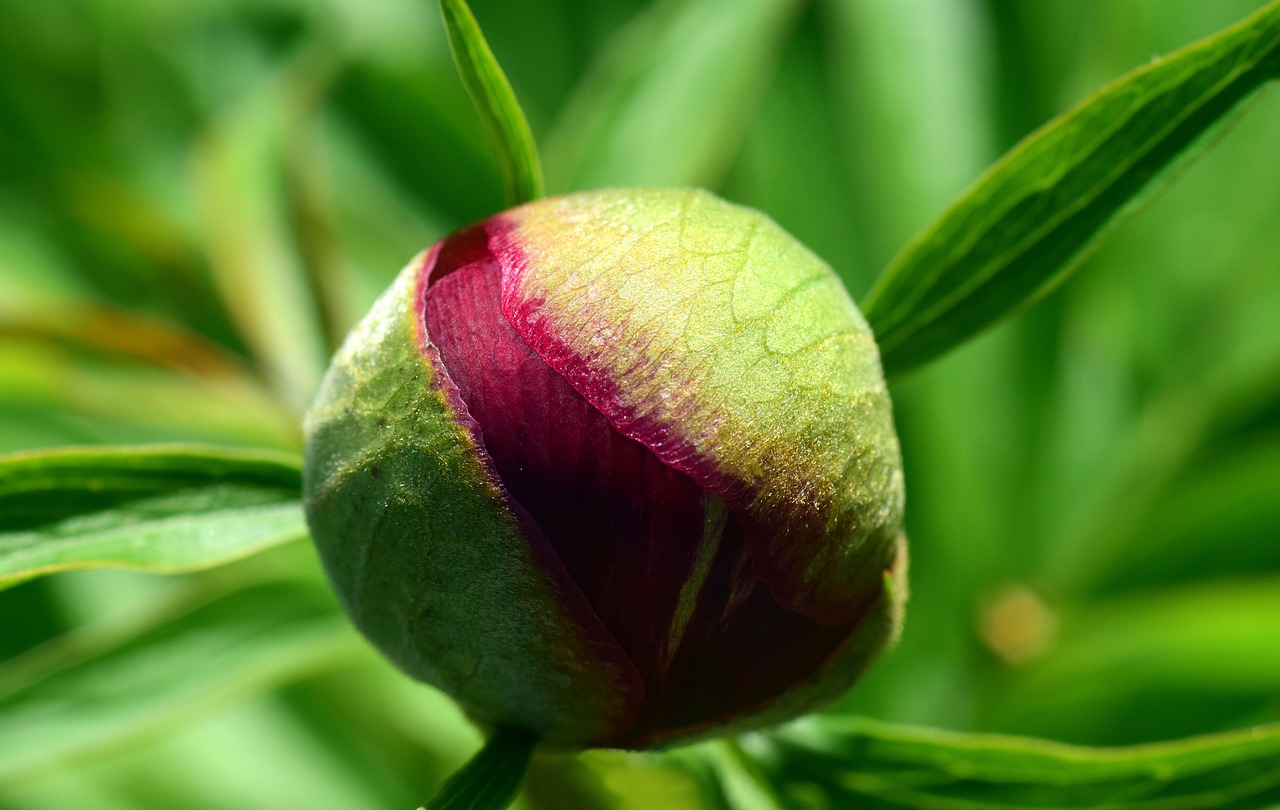 五月最新动漫头像，潮流与个性的完美融合